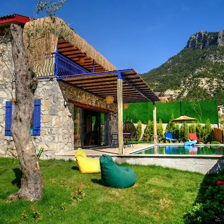 Pierre Villa *